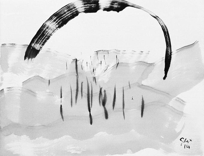 5-2014 mit bogen 66x51 chf 2000.jpg